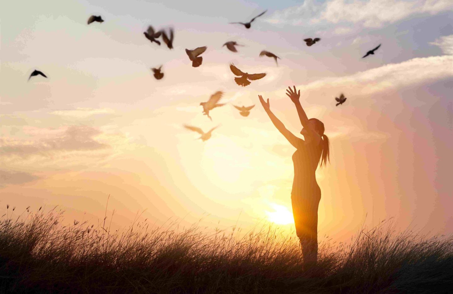 woman-praying-free-birds-nature-sunset-background